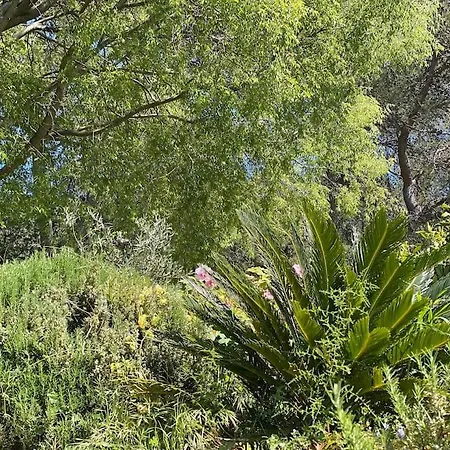 Holiday home Le Font Aubarne *