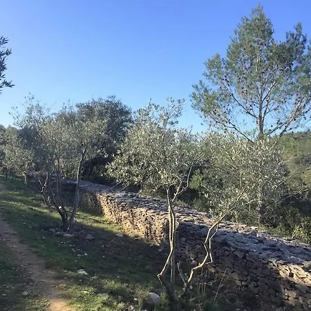 Holiday home Le Font Aubarne *