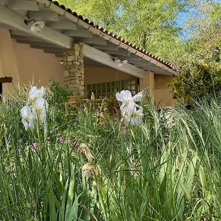 Le Font Aubarne Holiday home Nimes